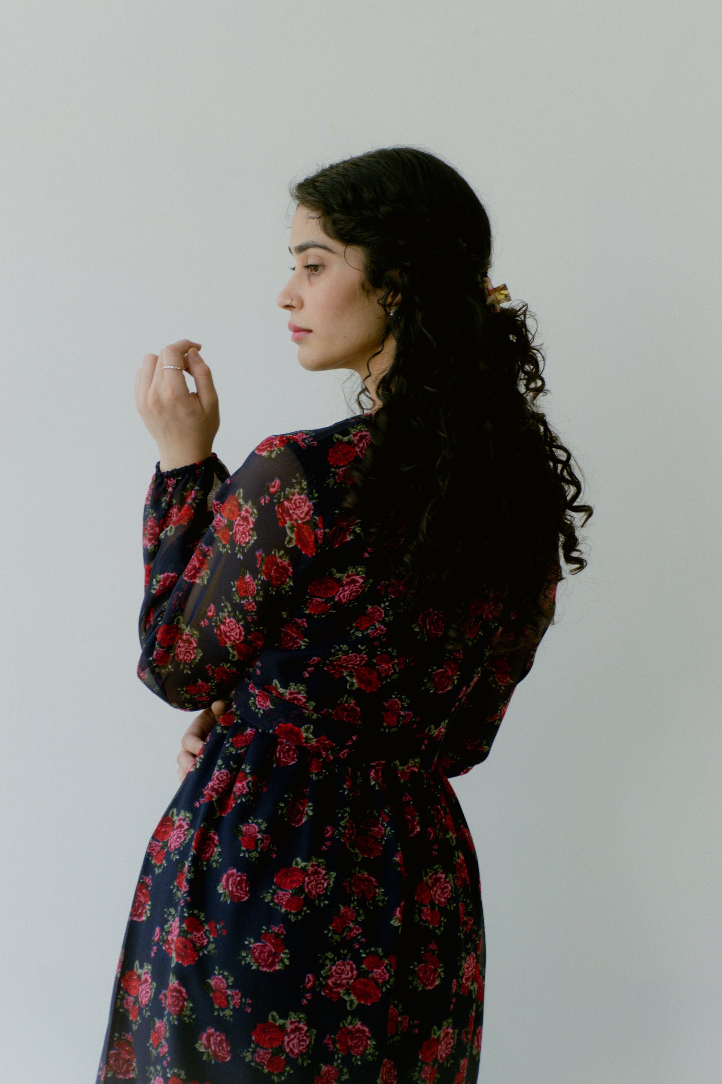 Roselle Georgette Dress