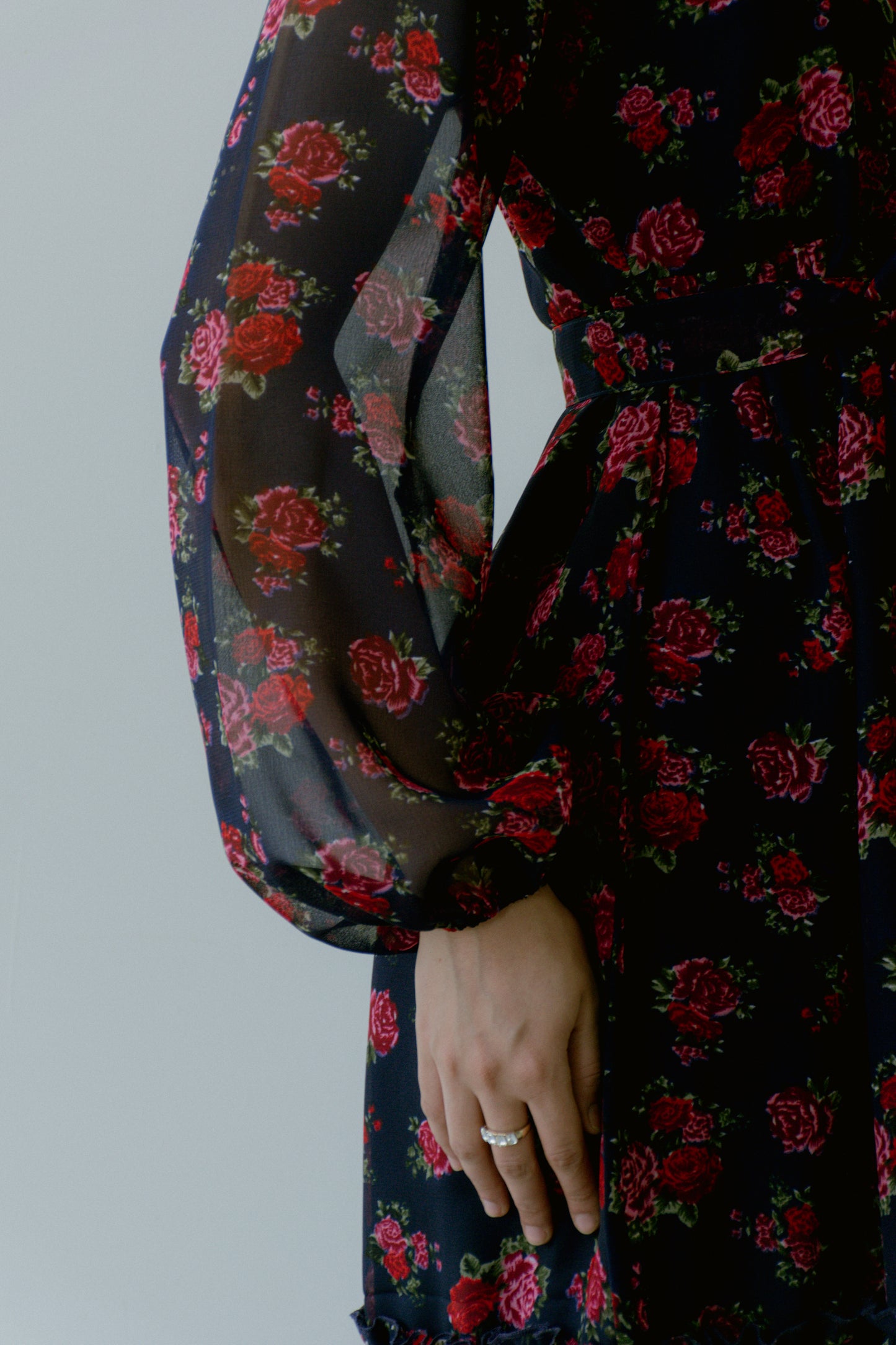 Roselle Georgette Dress